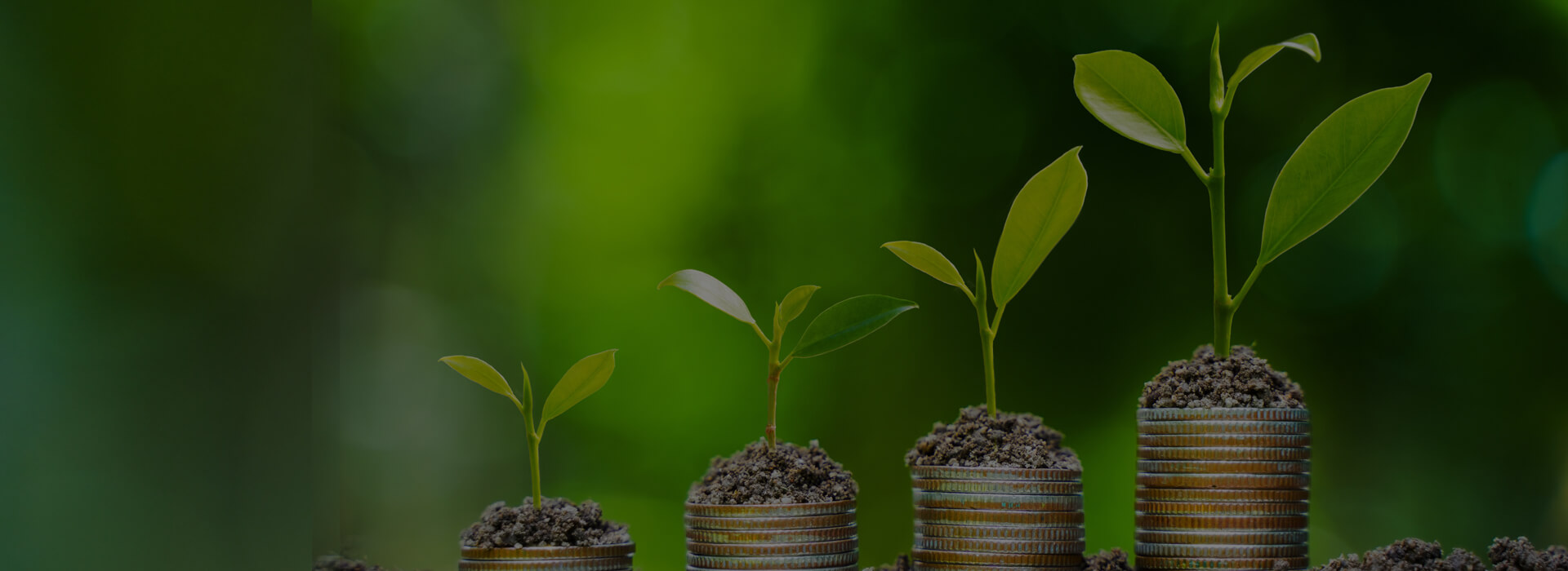 Csa standards for biomass and bioproducts