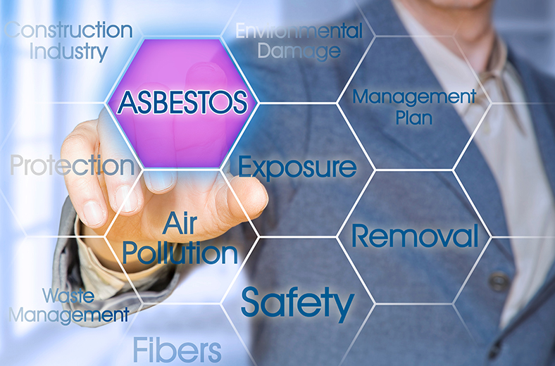Image for Asbestos Management in Canada: Assessing the Need for a National Standard