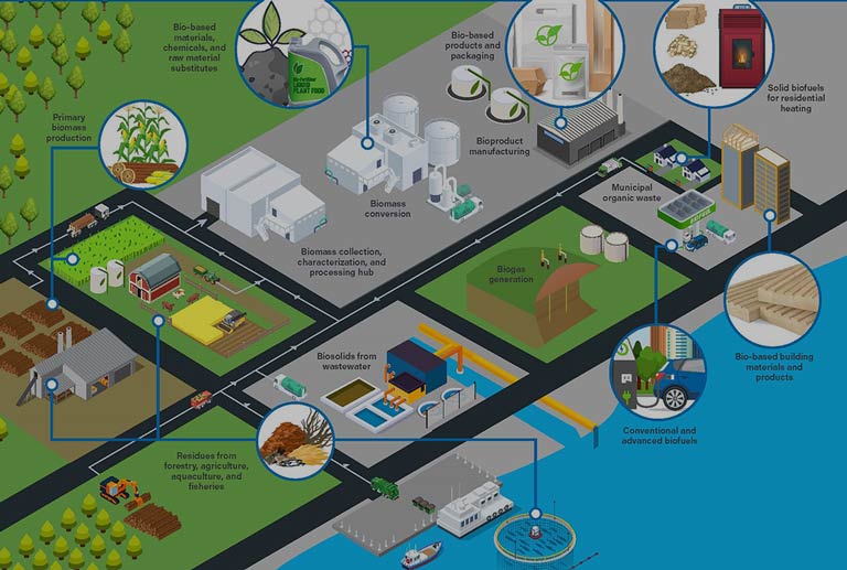 CSA Group Standards and research for bioeconomy infographic