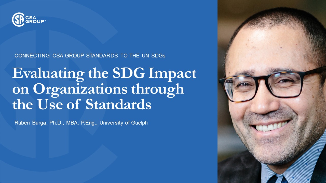 Evaluating the SDG Impact on Organizations through the Use of Standards