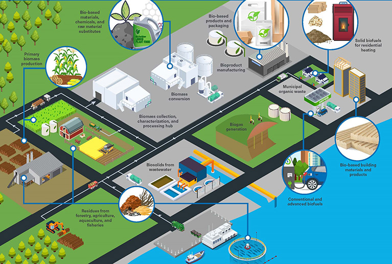 Featured Image. CSA Group Standards and research for bioeconomy infographic